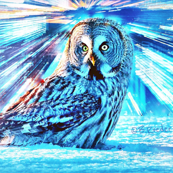 Speed